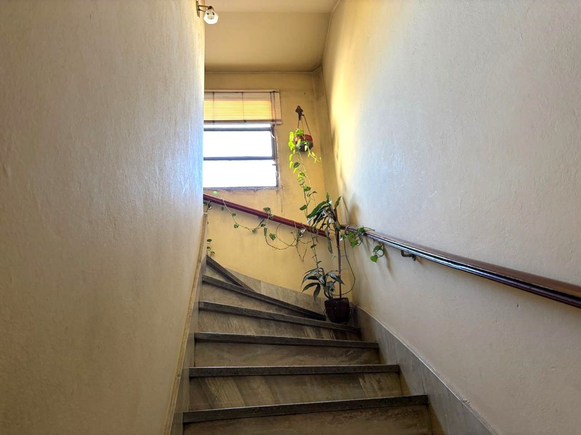 PH — foto 5